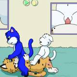Kitten Playtime