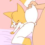 Fox loop