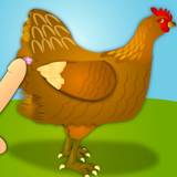Chicken FLASH!