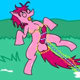 Targa the Pony
