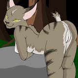 Bobcat bondage flash game